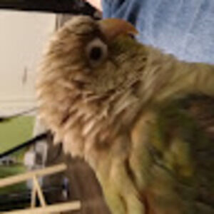 Meet your Posher, Kenna